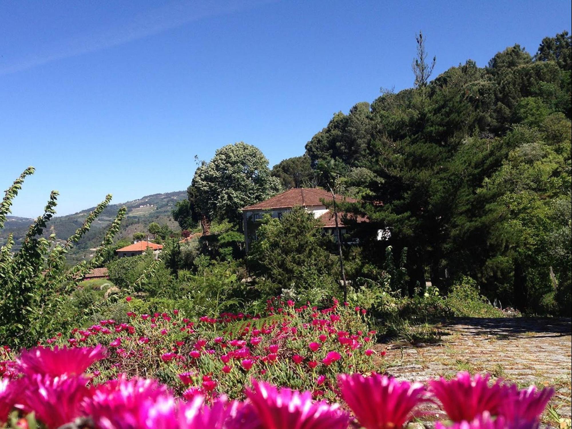 Arsdurium Douro Hotel Cinfaes Ruang foto
