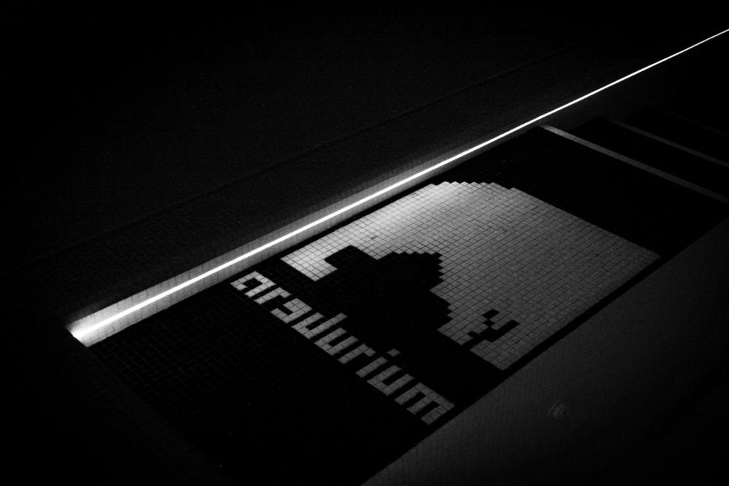 Arsdurium Douro Hotel Cinfaes Bagian luar foto