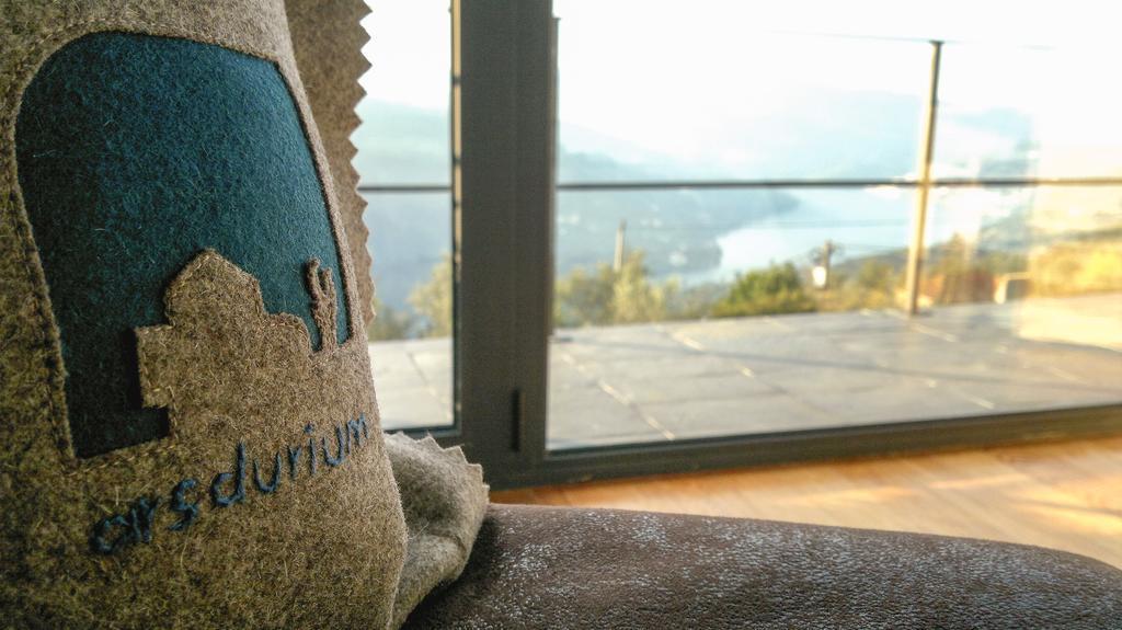 Arsdurium Douro Hotel Cinfaes Ruang foto