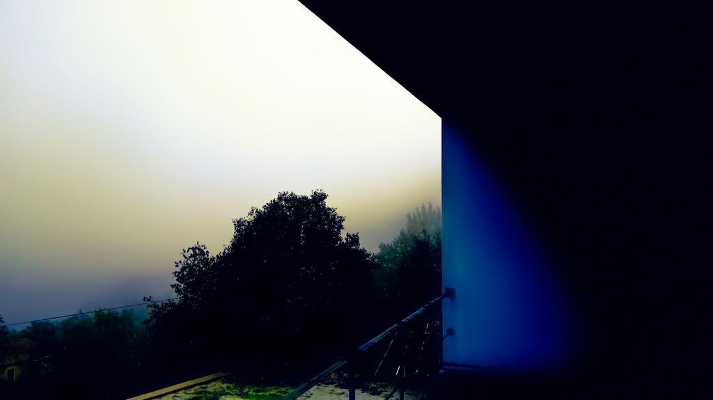 Arsdurium Douro Hotel Cinfaes Bagian luar foto